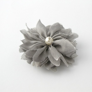 br 91 d Brož-stříbrná