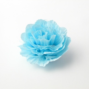 br 91 c Brož-modrá