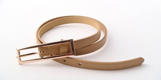 223-1 Pásek-sv.hnědý