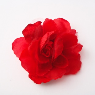 316 3b Brož- červená